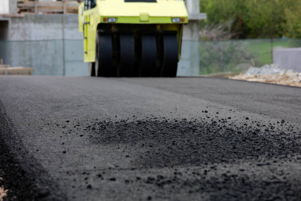 Best Driveway Paver Repair  in Fallon, NV