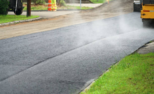 Best Local Driveway Pavers  in Fallon, NV
